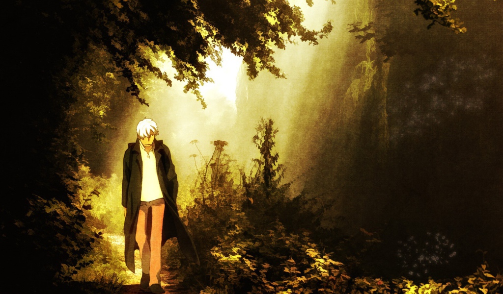 Парень идет по лесу, аниме Мастер Муси