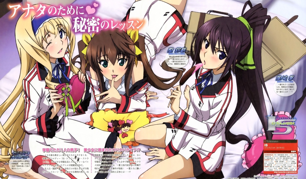 Манга аниме Infinite Stratos