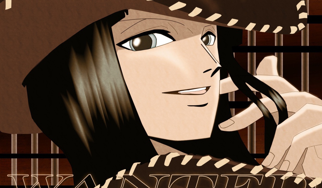 Нико Робин в шляпе, аниме Большой куш