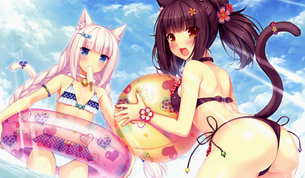 Отдых на пляже, аниме Neko Para