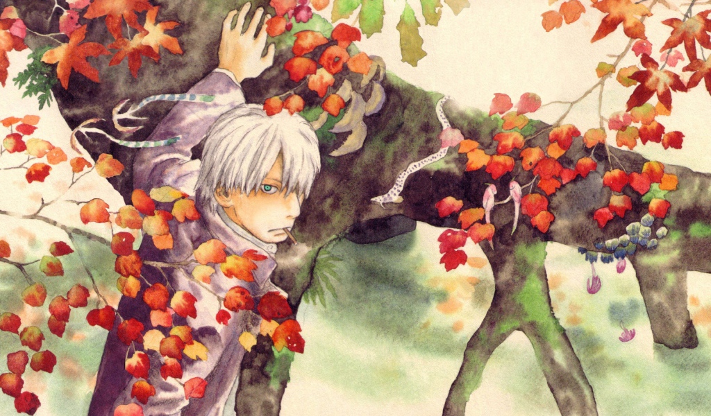 Главный герой аниме Мастер Муси