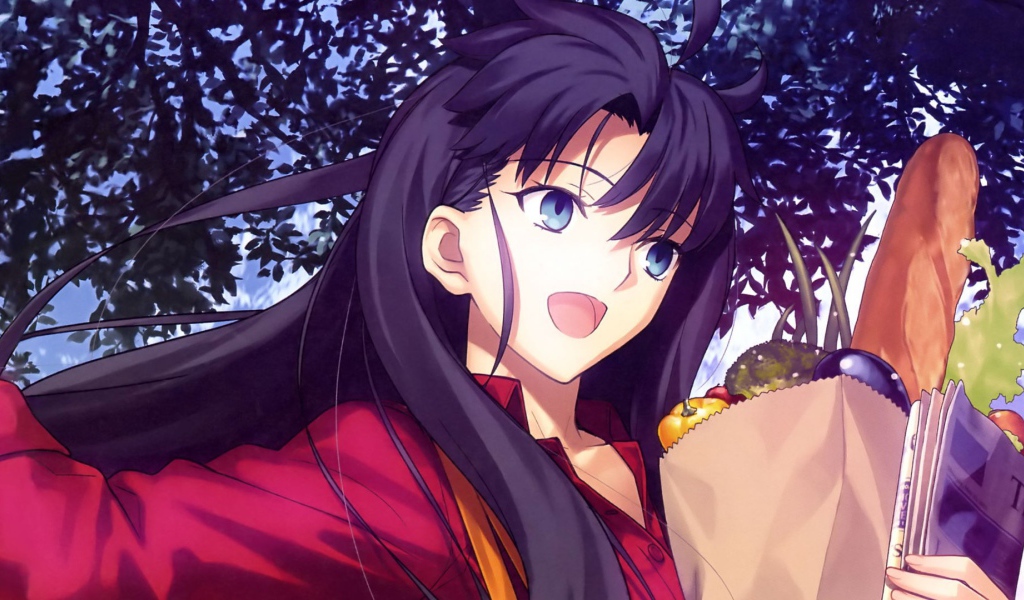 Тосака Рин, аниме Ночь прибытия