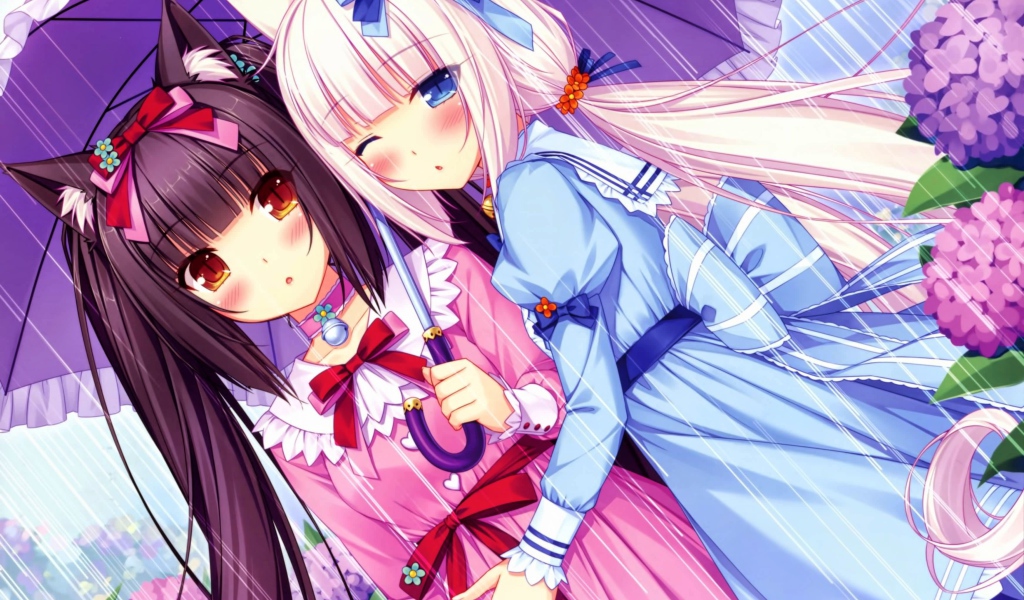 Две подружки под зонтом, аниме Neko Para