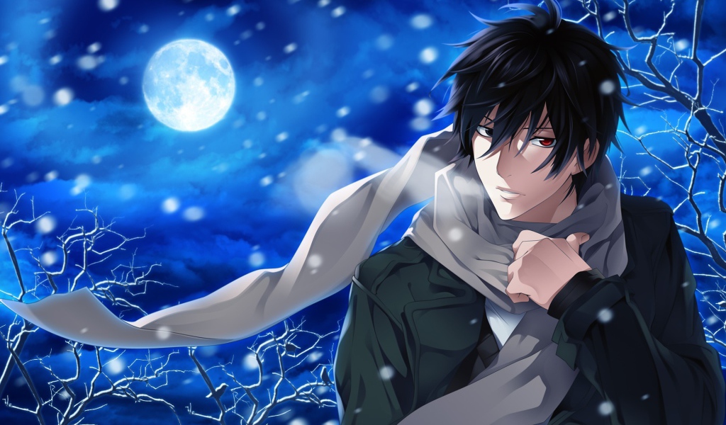 Якумо из аниме Shinrei Tantei Yakumo