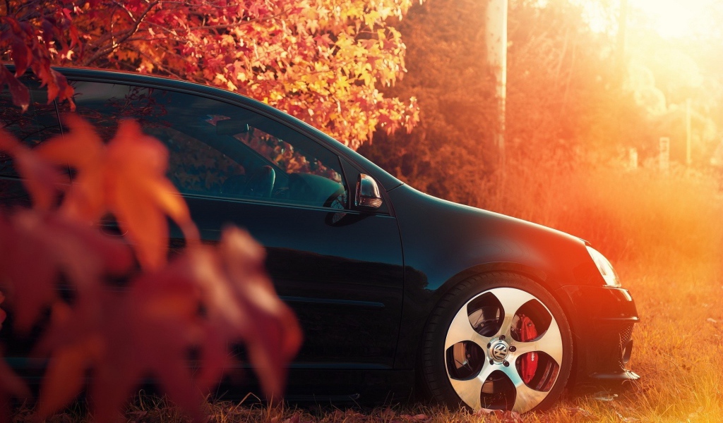 Черный автомобиль под осенней листвой