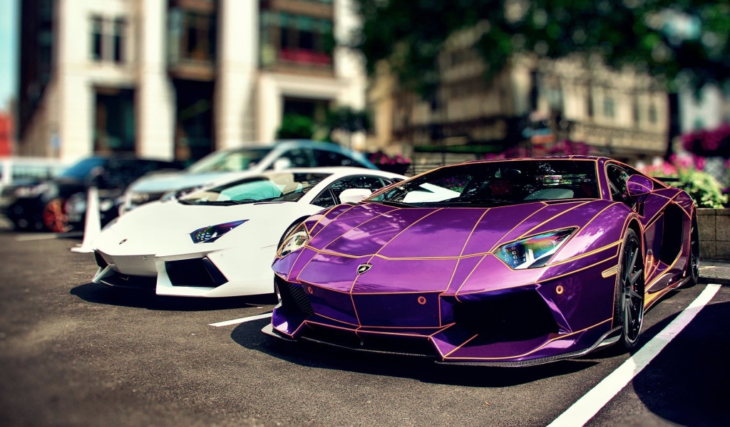 Сиреневый и белый Ламборгини