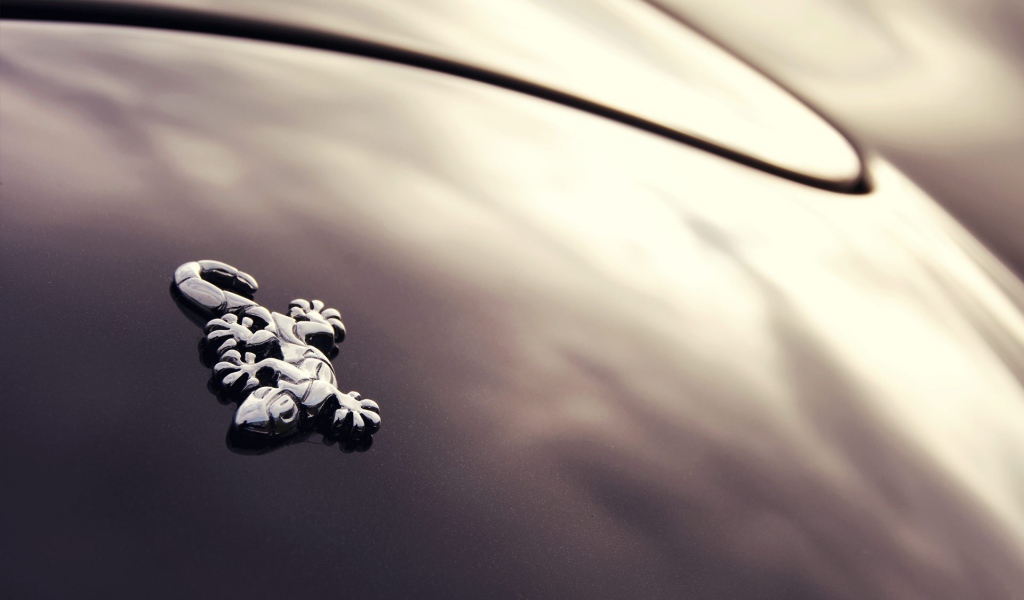 Логотип авто Wiesmann