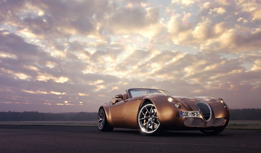 Спортивный коричневый Wiesmann