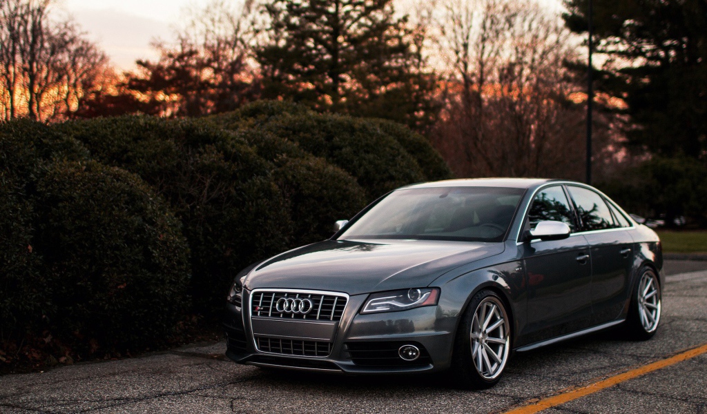 Темно серый Ауди у живой изгороди