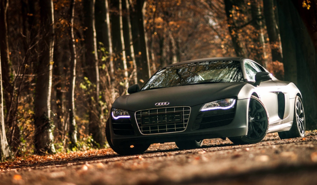 Двухдверный черный Ауди в лесу