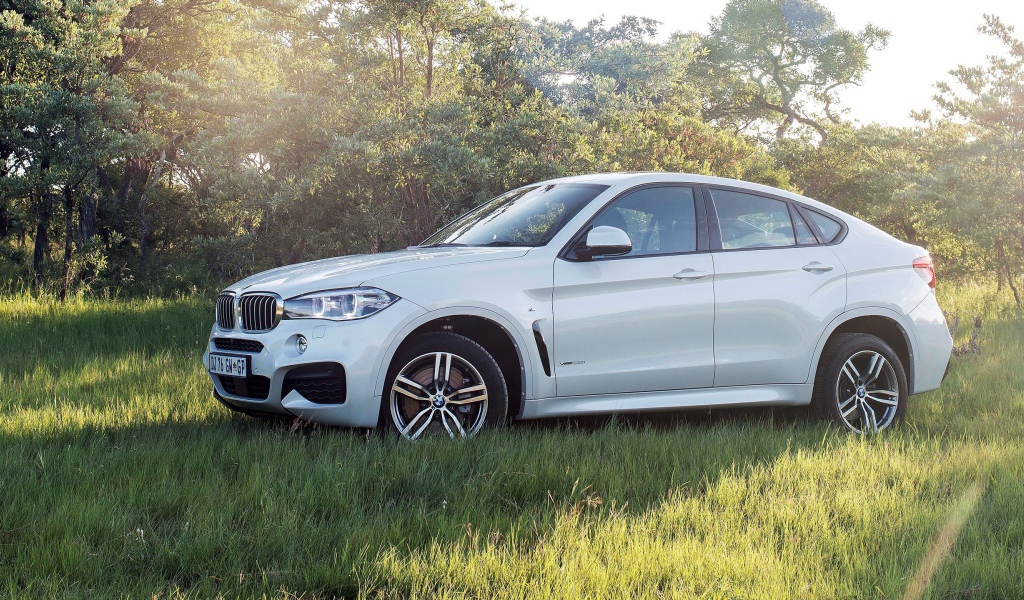 Полноприводный белый BMW на траве