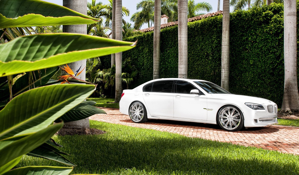 Белый БМВ во дворе богатого дома