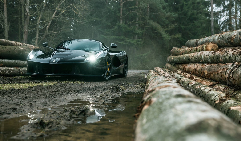 Черный Ferrari LaFerrari на лесоповале