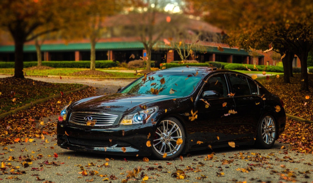 Автомобиль Infiniti в осеннем парке