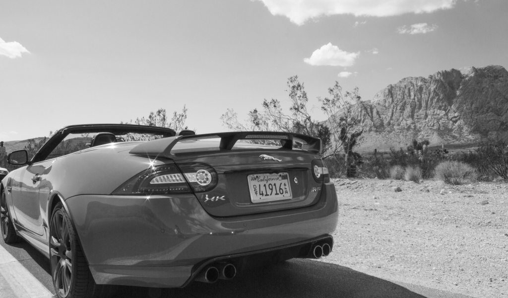 Черно белое фото автомобиля Jaguar