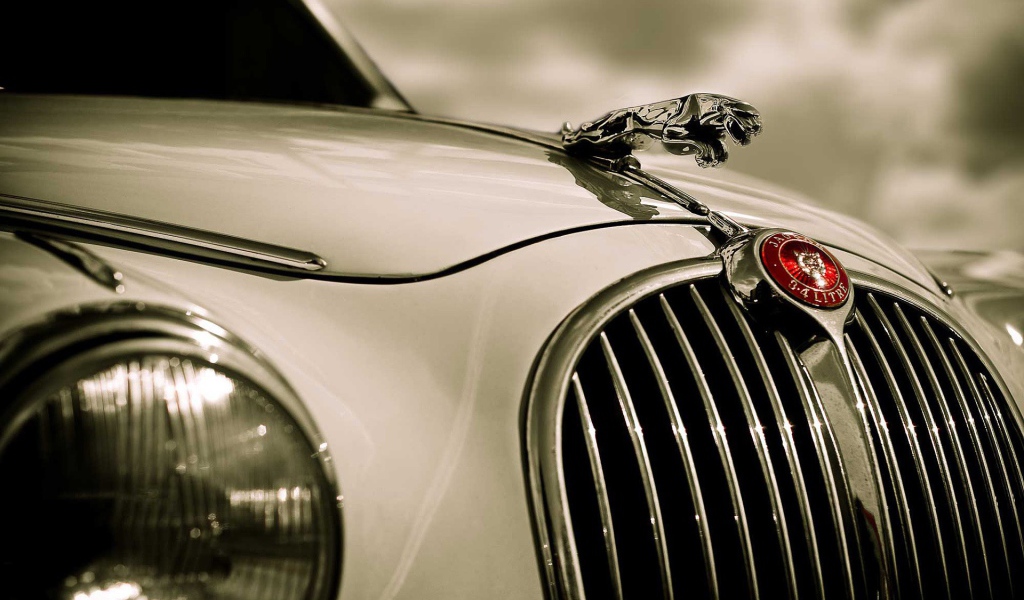 Фигурка на капоте Ягуара