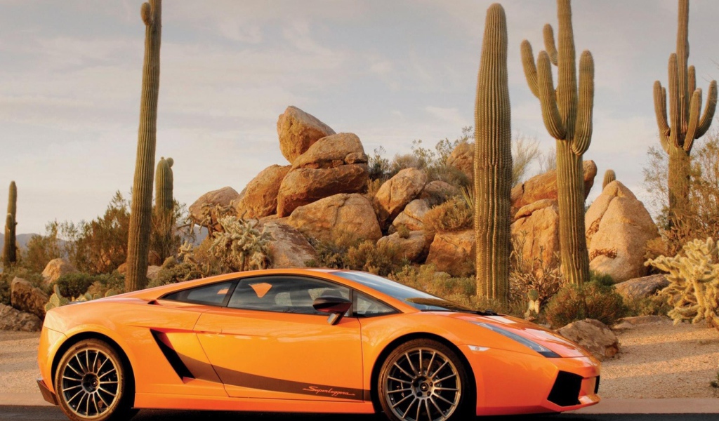 Оранжевый Ламборгини на фоне кактусов