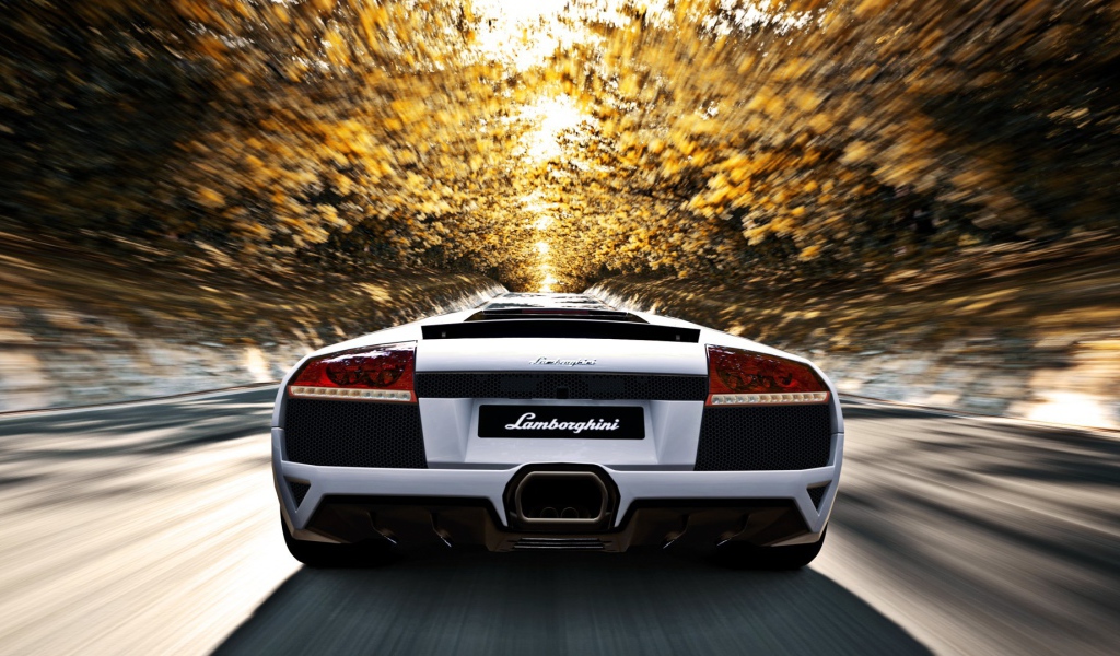 Белый Ламборгини мчится по аллее