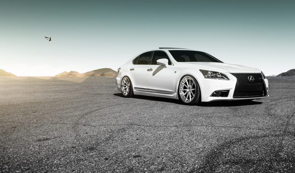 Белый Lexus на серой гальке