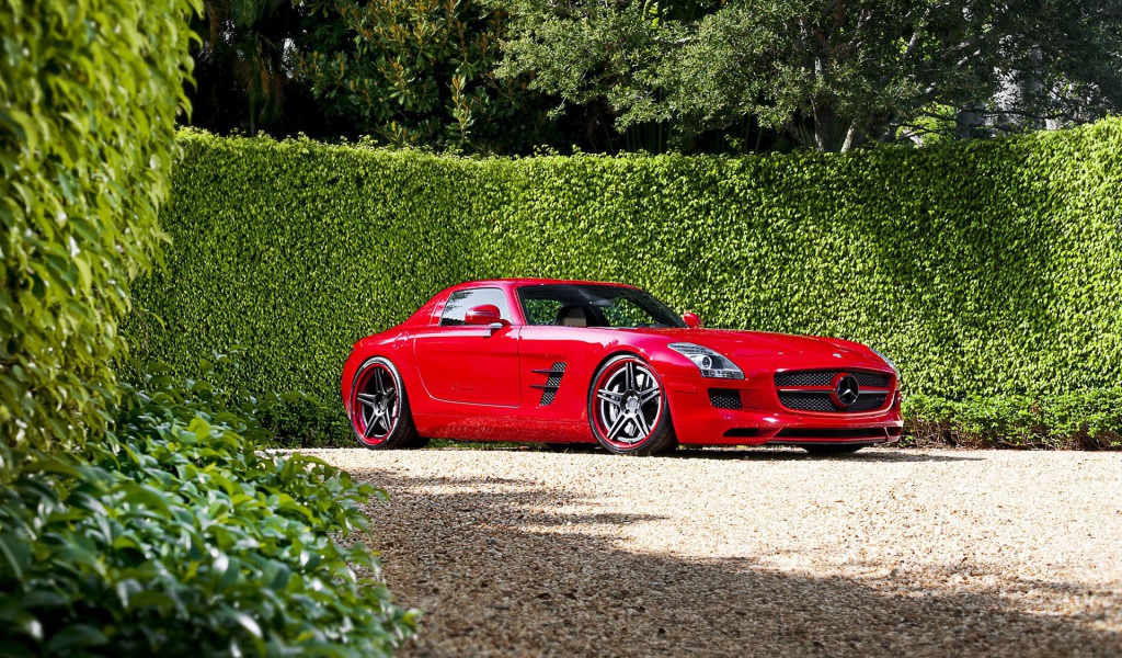 Красный Mercedes у забора из зелени