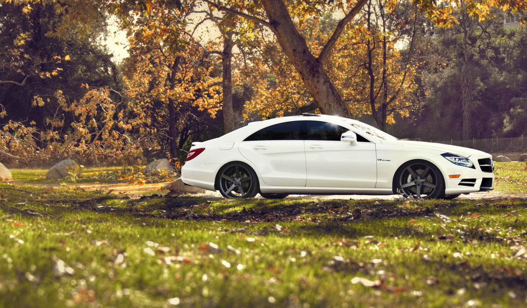 Белый мерседес на природе