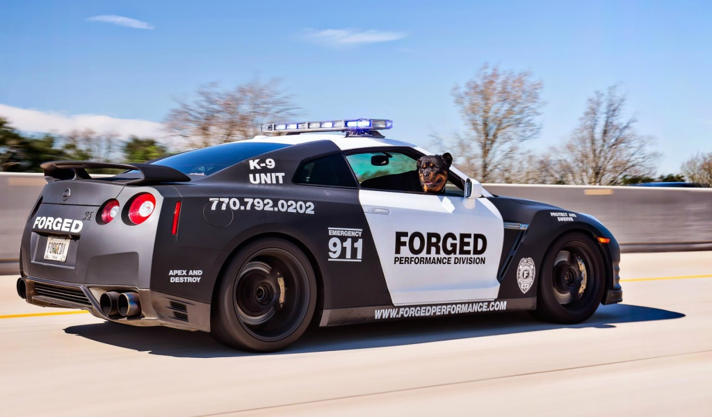 Полицейский Nissan GT-R