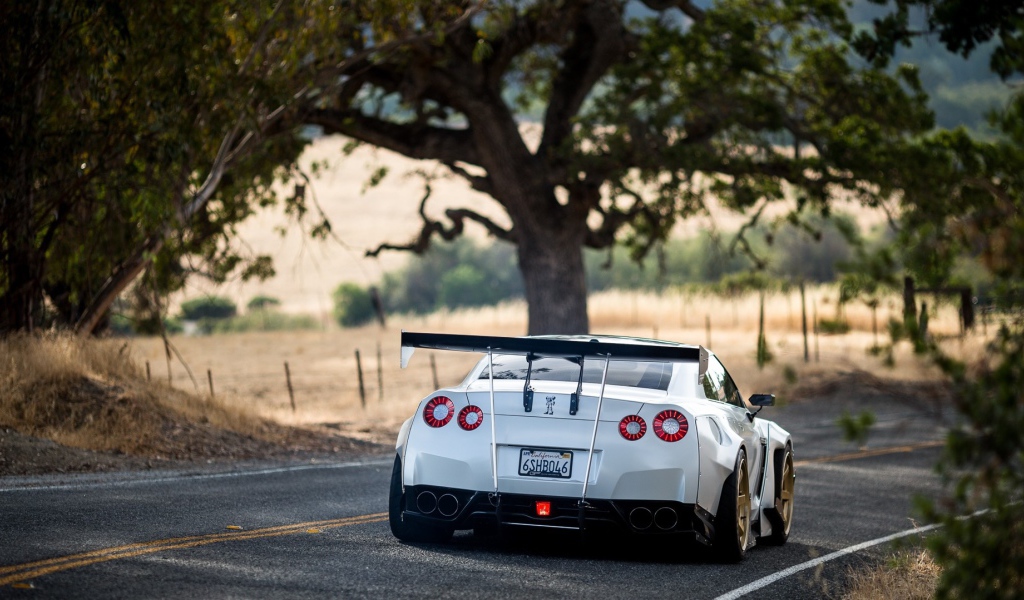Белый Nissan GT-R на загородном шоссе