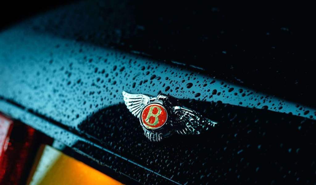 Знак на мокром автомобиле