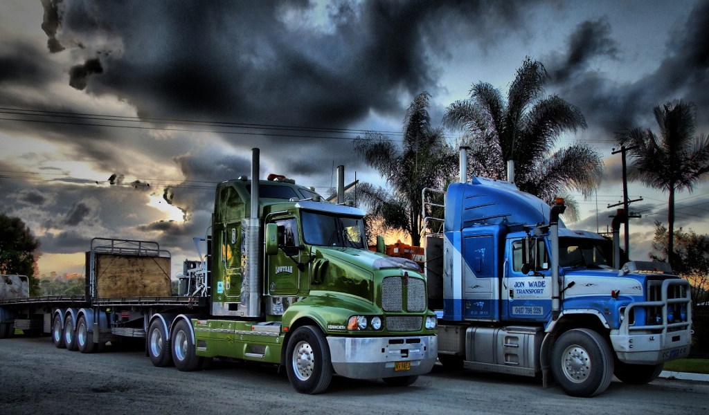 Тягачи на фоне пальм