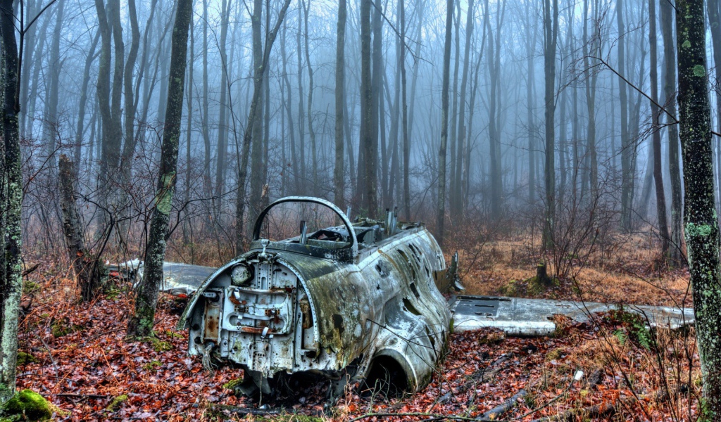 Обломки самолета в лесу