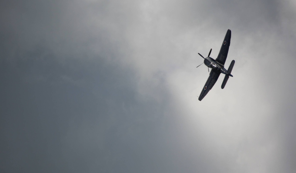 Черный самолет, серый фон