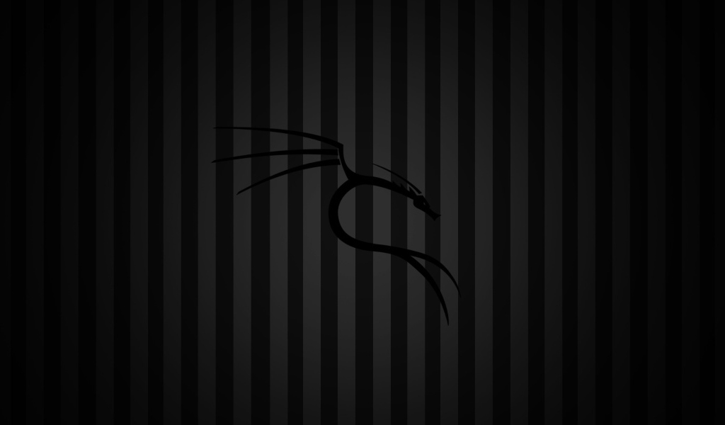 Черный фон Kali Linux