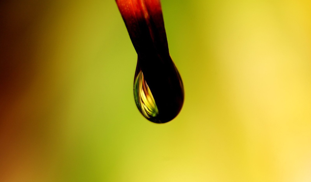 Черная капля