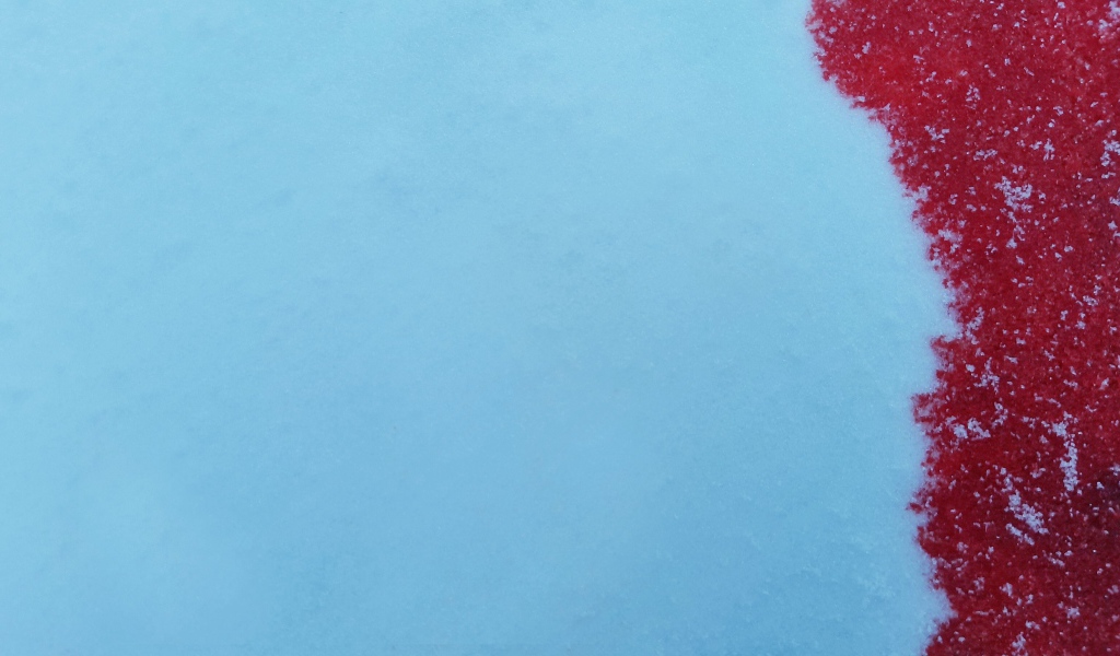 Кровь на голубом снеге