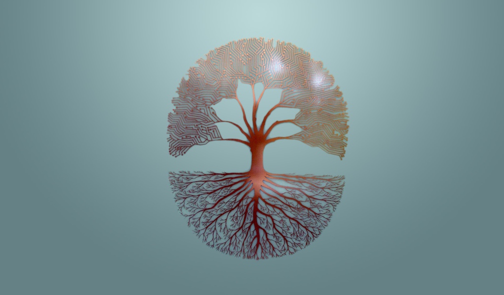 Ветви и корни дерева, серый фон