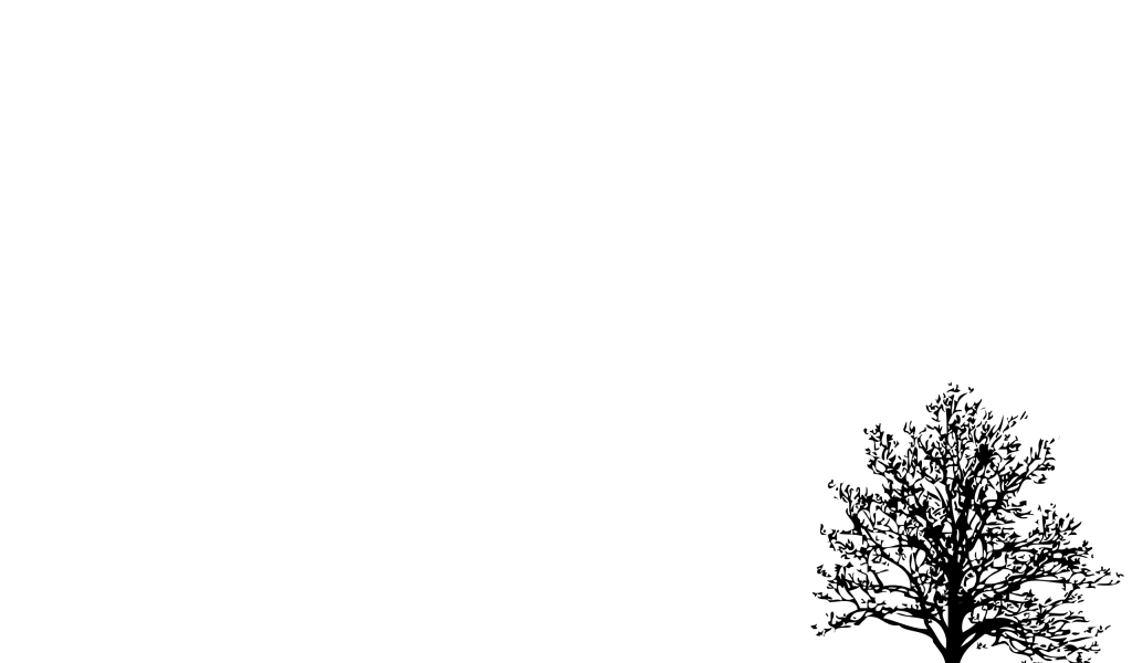 Черное дерево, белый фон