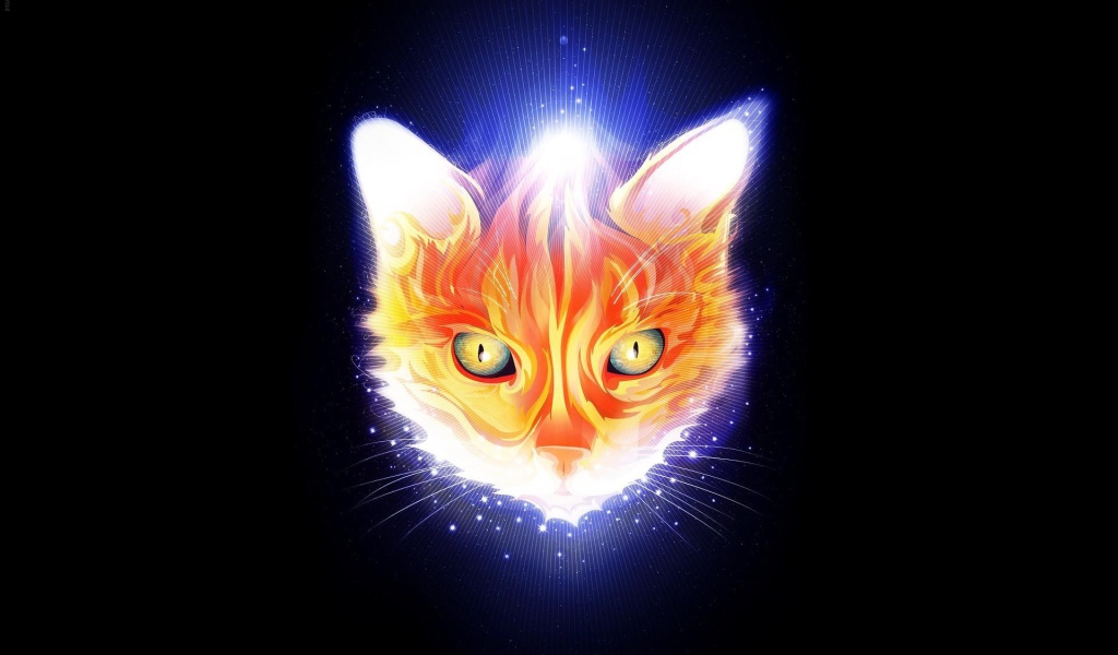 Огненная мордочка кота, черный фон