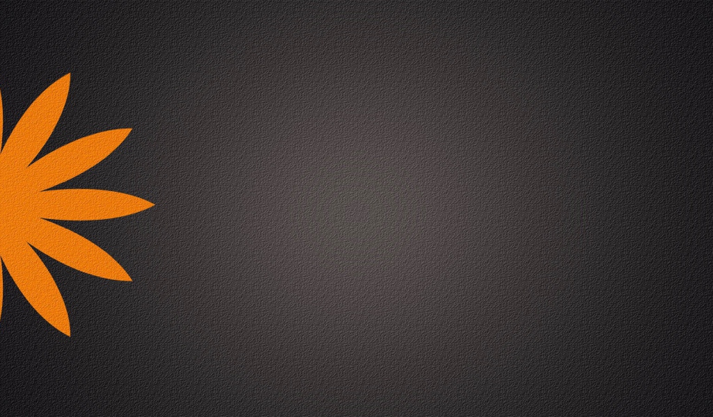 Серый фон, оранжевый цветок