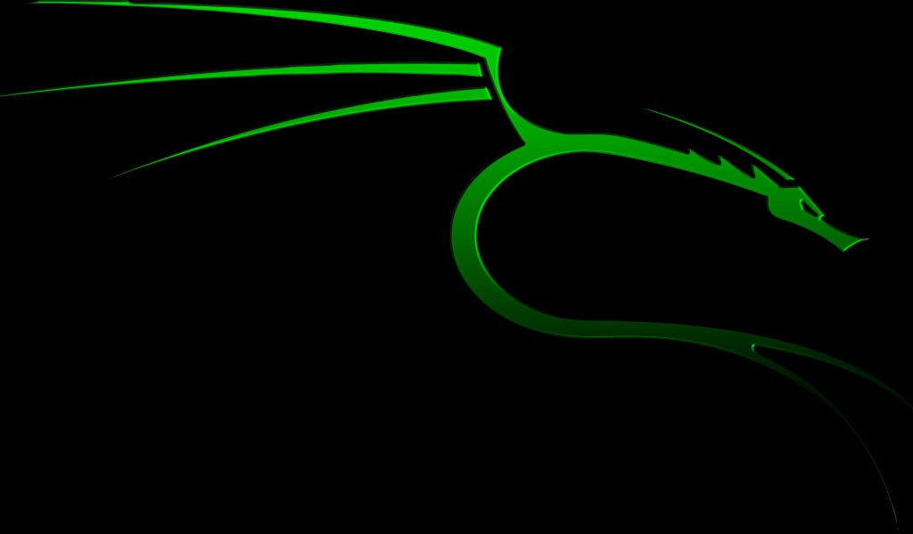 Зеленый дракон на черном фоне Kali Linux