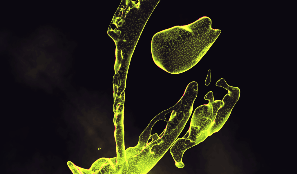 Капли зеленой жидкости на черном фоне
