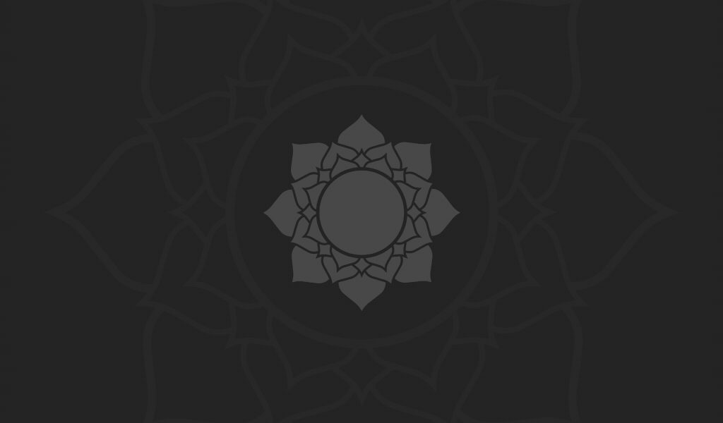 Цветок лотоса, темно серый фон