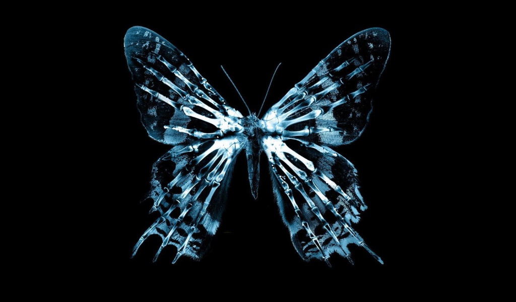 Неоновая фигура бабочки