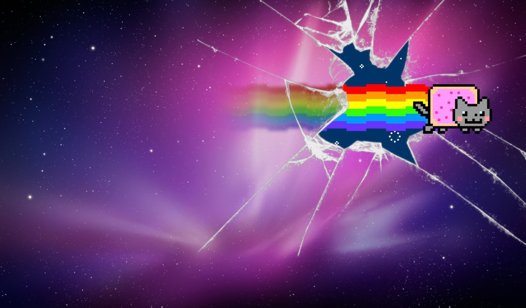 Нян кот разбил стекло