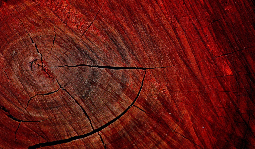 Красный спил дерева