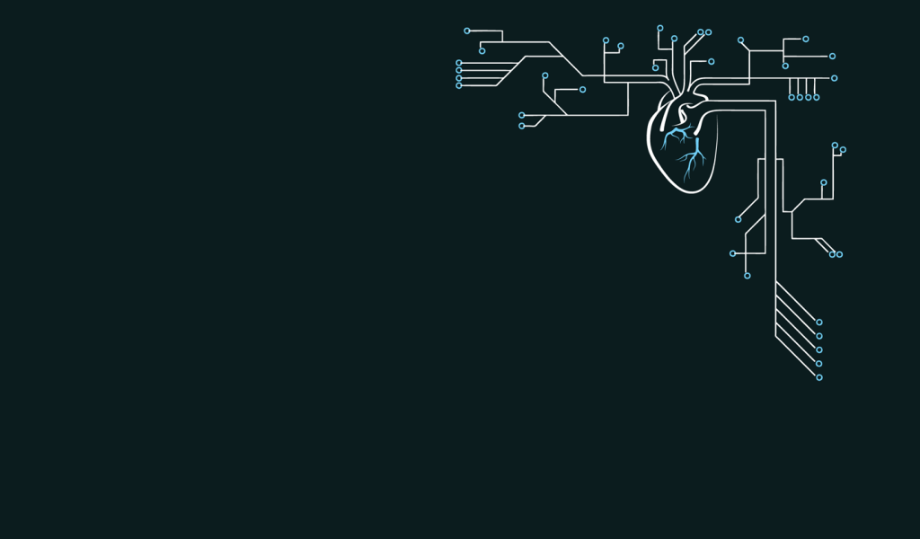 Электрическая схема сердца
