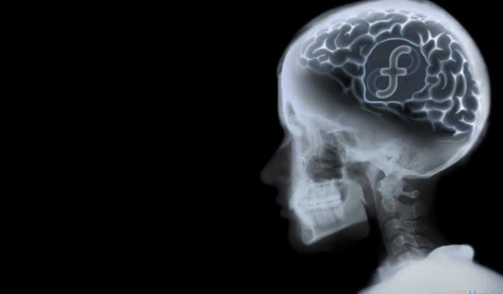 Знак ОС Fedora на рентгене