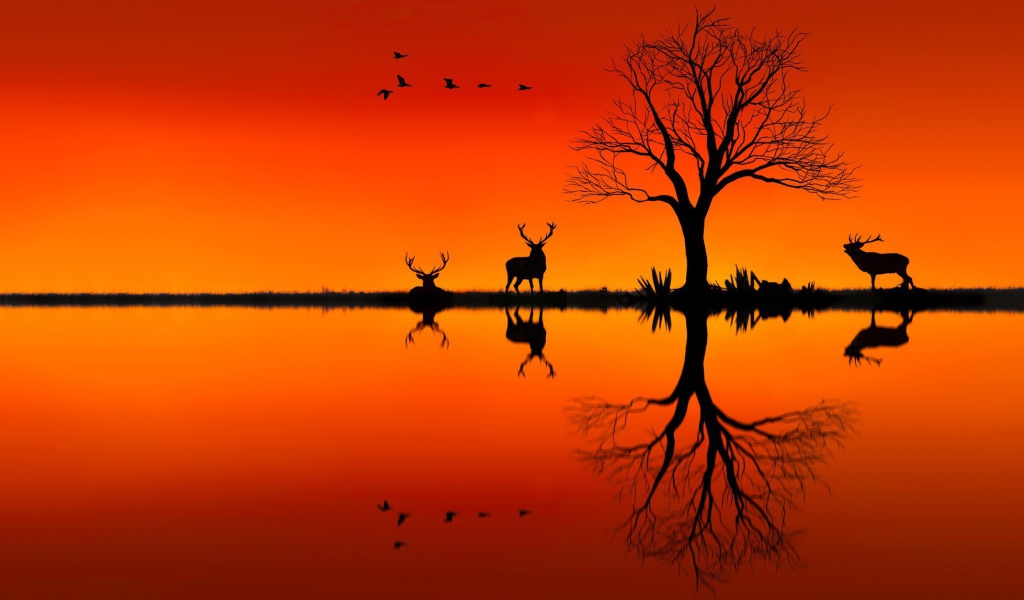 Силуэты оленей на оранжевом фоне