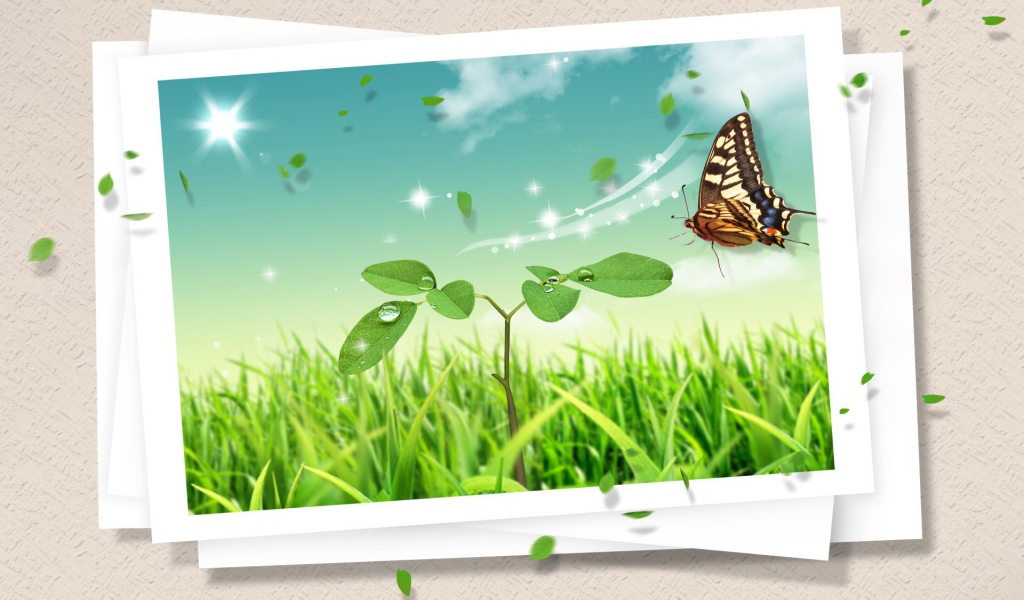 Летняя открытка с бабочкой