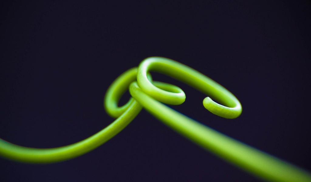 Нежные зеленые ростки на темном фоне