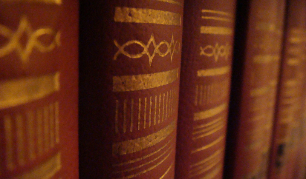 Корешки книг